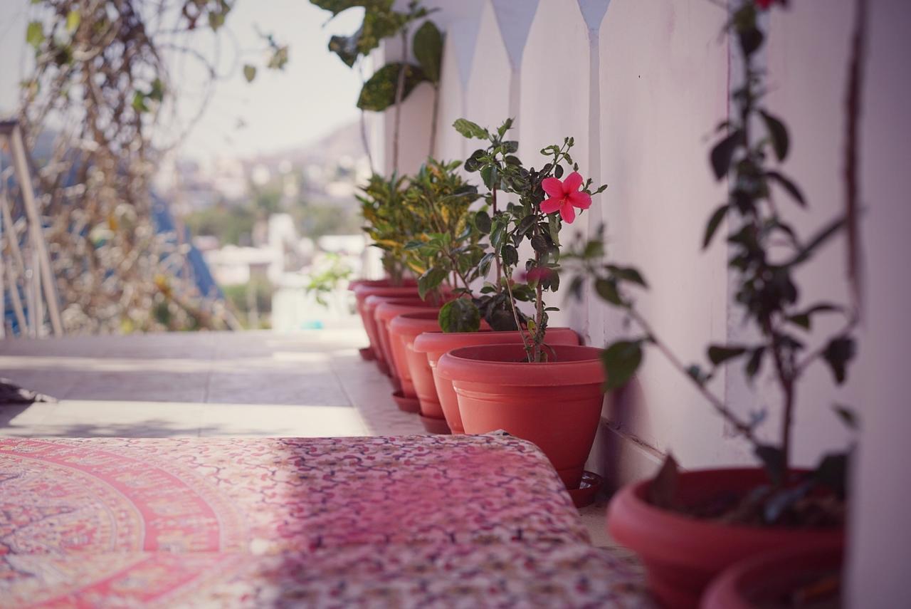 Albergue Madpackers Pushkar Exterior foto
